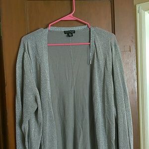 Sliver shimmer Willi Smith cardigan